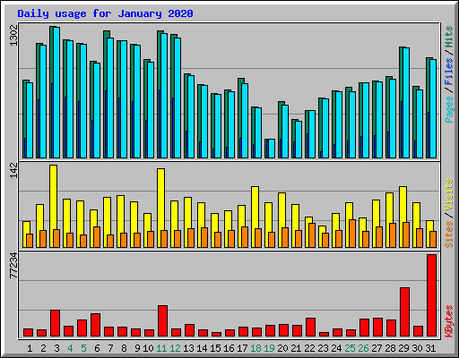 Daily usage for January 2020