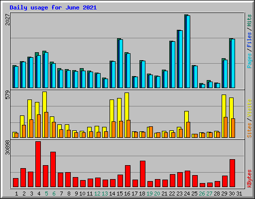Daily usage for June 2021