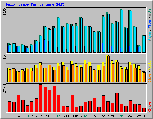 Daily usage for January 2025