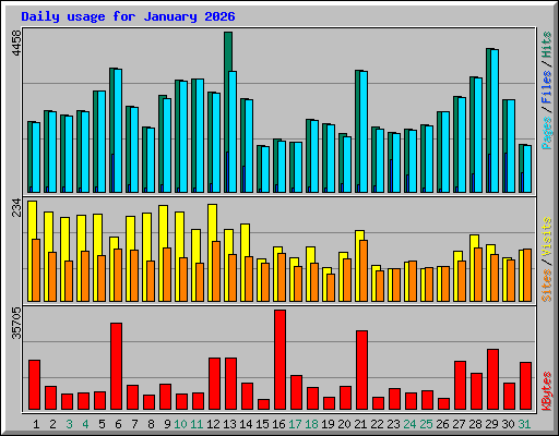 Daily usage for January 2026