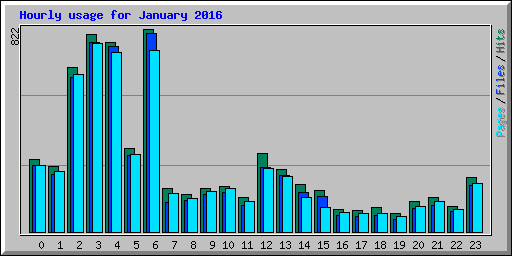 Hourly usage for January 2016