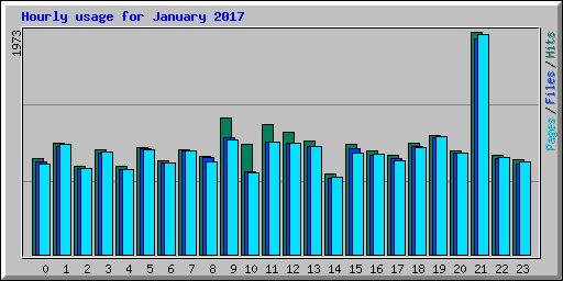 Hourly usage for January 2017
