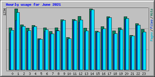 Hourly usage for June 2021