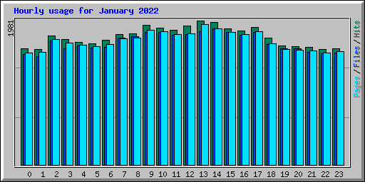 Hourly usage for January 2022