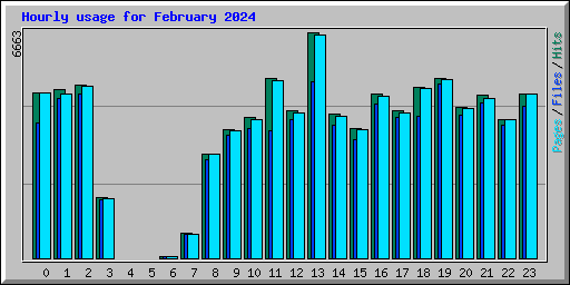 Hourly usage for February 2024