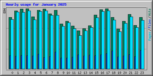 Hourly usage for January 2025