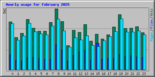 Hourly usage for February 2025