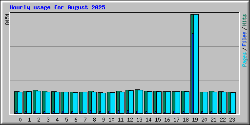 Hourly usage for August 2025