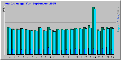 Hourly usage for September 2025