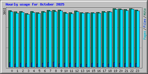 Hourly usage for October 2025