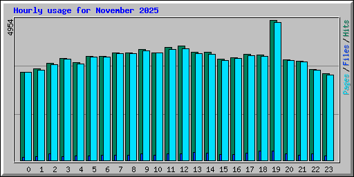 Hourly usage for November 2025