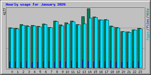 Hourly usage for January 2026