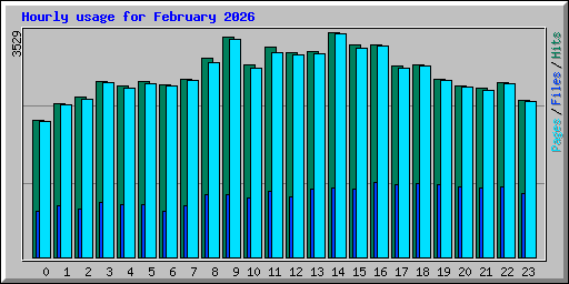 Hourly usage for February 2026