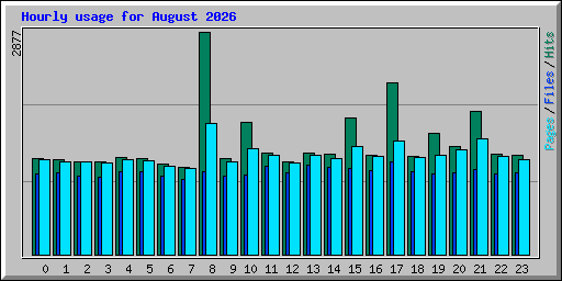 Hourly usage for August 2026